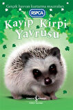 Kayıp Kirpi Yavrusu / Jill Hucklesby