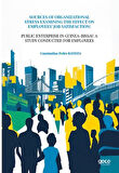 Sources Of Organizational Stress Examining The Effect On Employees’ Job Satisfaction