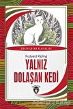 Yalnız Dolaşan Kedi