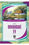 Ormandaki Ev