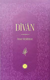 Kitap: Divan