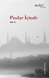 Puslar İçinde