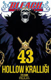 Bleach 43. Cilt