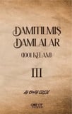 Damıtılmış Damlalar (1001 Kelam) III / Ali Cüneyt Eren