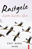 Rastgele; Leylekler, Kozalaklar ve Düşler