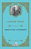 Jenseits Des Lustprinzips