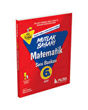 6. Sınıf Matematik Mutlak Başarı Soru Bankası
