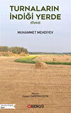 Turnaların İndiği Yerde (Öykü) / Muhammet Mehdiyev