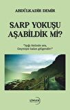Sarp Yokuşu Aşabildik Mi?