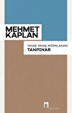 Yavaş Yavaş Aydınlanan Tanpınar