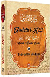 Umdetu'l-Kari (18. cilt)
