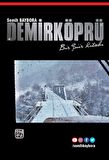 Demirköprü Bir Şiir Kitabı - Semih Baybora