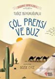 Çöl Prensi ve Buz