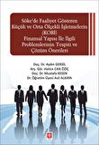 Söke'de Faaliyet Gösteren Küçük ve Orta Ölçekli işletmelerin (KOBİ) Finansal Yapısı ile İlgili Problemlerinin Tespiti ve Çözüm Önerileri