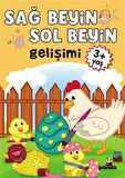 Sağ Beyin - Sol Beyin Gelişimi +3 Yaş