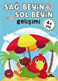 4 Yaş Sağ Beyin-Sol Beyin Gelişimi