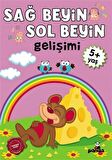 Sağ Beyin - Sol Beyin Gelişimi +5 Yaş