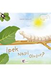 İpek Nasıl Oluşur?