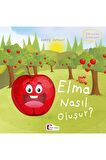 Elma Nasıl Oluşur?