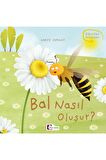 Bal Nasıl Oluşur?