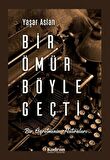 Bir Ömür Böyle Geçti