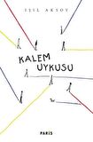 Kalem Uykusu