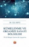 Kümelenme Ve Organize Sanayi Bölgeleri: TR 63 Bölgesi Üzerine Bir Uygulama