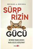 Sürprizin Gücü