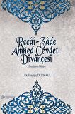 Recai-Zade Ahmed Cevdet Divançesi