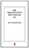 Bir "Şiir Günlüğü" İçin Notlar 3