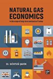 Natural Gas Economics In The Scope Of Long-Term Contracts Of Turkey