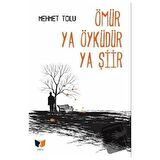 Ömür Ya Öyküdür Ya Şiir