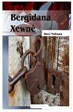 Bergidana Xewne