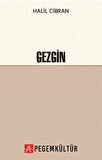 Gezgin