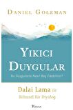 Yıkıcı Duygular