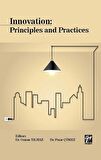 Innovation Principles and Practices