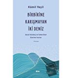 Birbirine Karışmayan İki Deniz