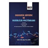 Ekonomik Büyüme ve Verimlilik Politikası