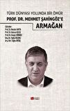 Türk Dünyası Yolunda Bir Ömür Prof. Dr. Mehmet Şahingöz’e Armağan