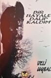 Bir Hayale Dalıp Kaldım