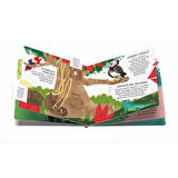 Sassi Animals to Save - Tropical Forests