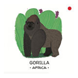 Sassi Animals to Save - Tropical Forests
