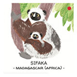 Sassi Animals to Save - Tropical Forests