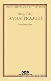 Avda Trajedi