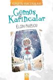 Gümüş Karıncalar