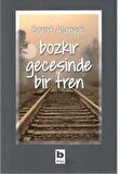 Bozkır Gecesinde Bir Tren