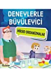 Deneylerle Büyüleyici Mikro Organizmalar