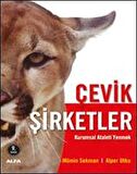 Çevik Şirketler