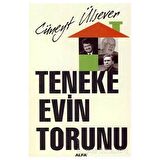 Teneke Evin Torunu