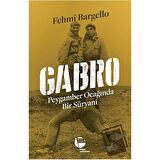 Gabro